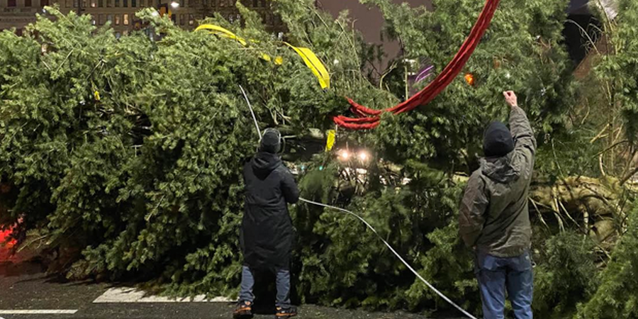 Here's How to Recycle Your Christmas Tree in Philly