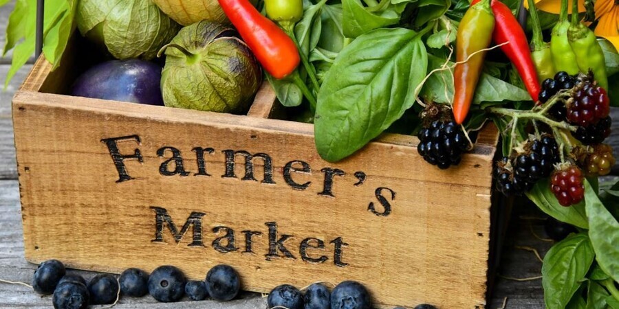 Where are The Biggest Farmers Markets in New Jersey?