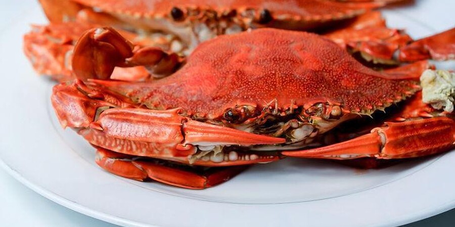 8 of Our Favorite Crab Houses in Maryland