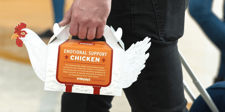 Popeyes Emotional Support Chicken at The Philly Airport