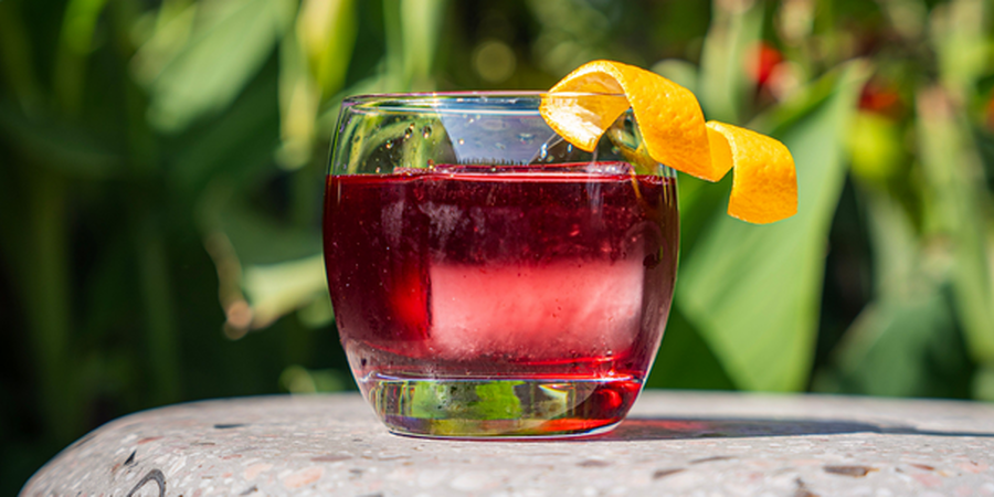 Celebrate Negroni Week with the Best Negronis in Philadelphia!