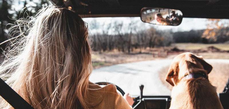 The Laurel Highlands: A Spectacular Western PA Fall Driving Loop