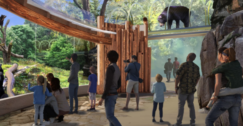 A New Era for America's First Zoo: Francis J. Carey Bear Country Opens June 4