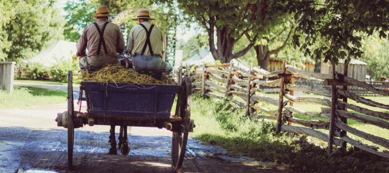 Pennsylvania Amish Culture and History
