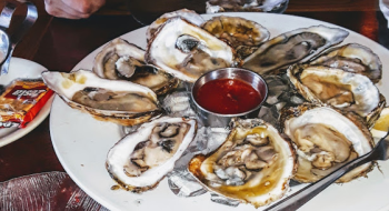 Visiting Harrison's Harbor Watch in Ocean City, Maryland