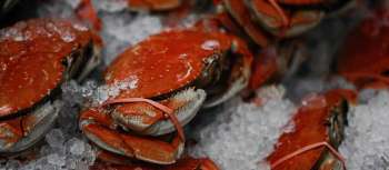 5 Hidden-Gem Florida Crab Houses