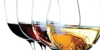 The City's Most Unforgettable Wine and Food Pairings