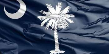 The Palmetto State's Divisions: Counting South Carolina's Counties
