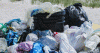 Delaware Ban on Plastic Bags Now in Effect