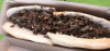 Cheesesteaks at El Greco Pizza & Punch Buggy Beers