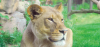 Philadelphia Zoo Launches New Philly Zoo at 2 