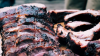  5 Best BBQ Joints in North Carolina