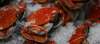5 Hidden-Gem Florida Crab Houses
