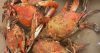 Mickey's Family Crab House Review