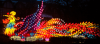 A 200-foot-long phoenix is just one of the highlights of the 2019 Philadelphia Chinese Lantern Festival in Franklin Square. 